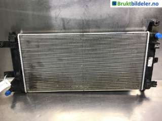Radiator (automat gir) til Nissan Leaf,   (NISSAN|214105SH0A)