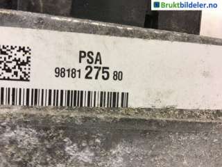 Servo pumpe elektrisk til Citroën Jumpy,   (CITROEN|98 181 275 80)