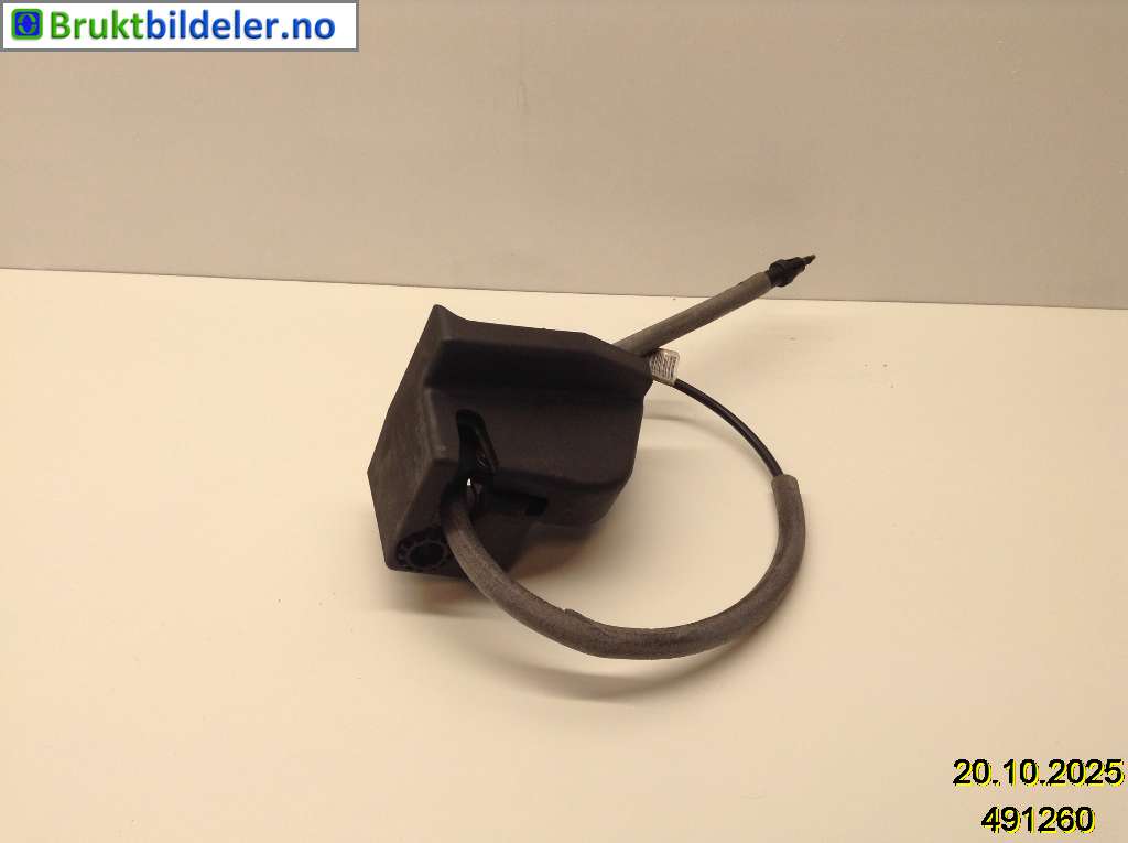 bilde