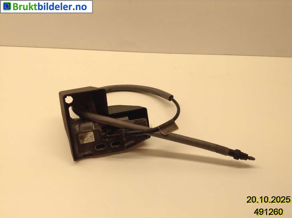 bilde