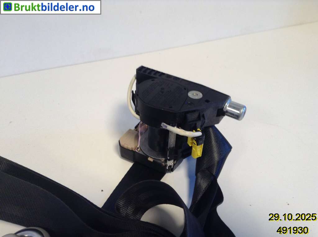 bilde