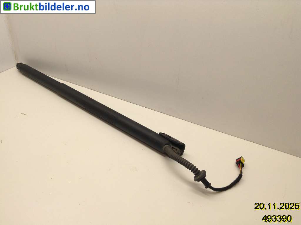 bilde