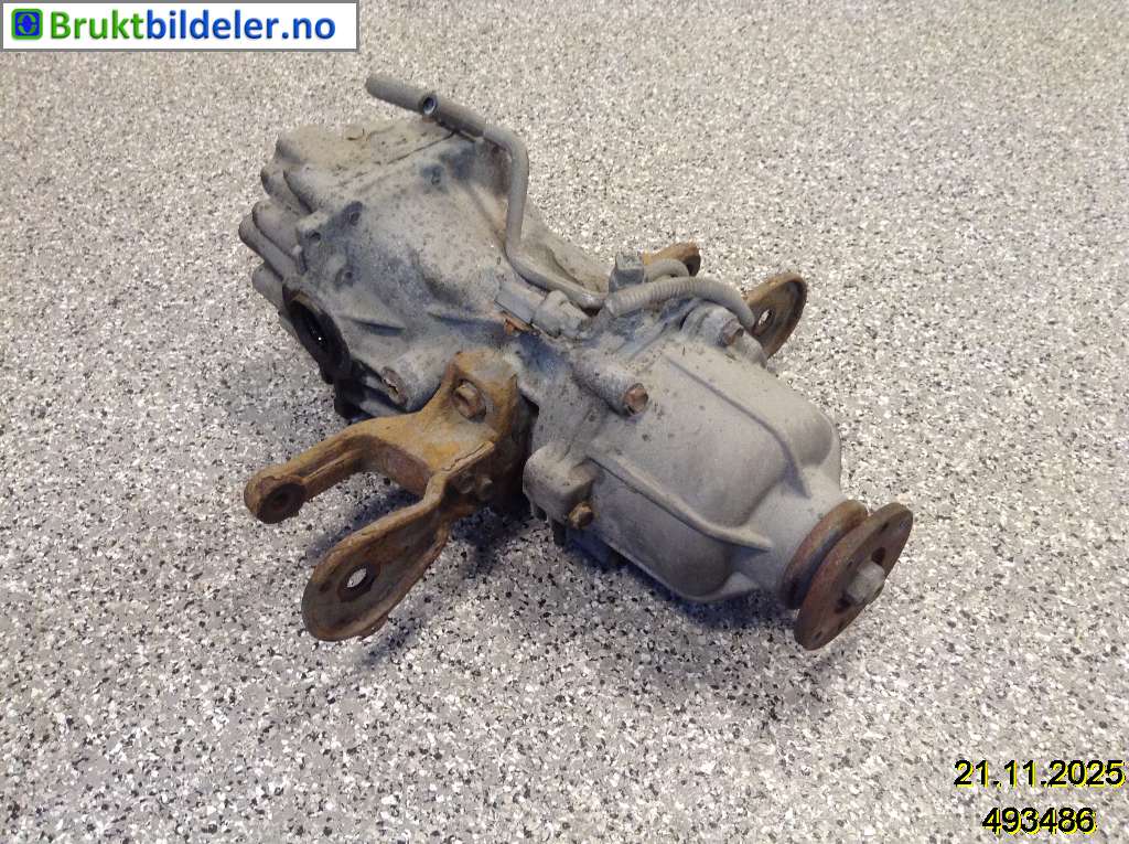 bilde