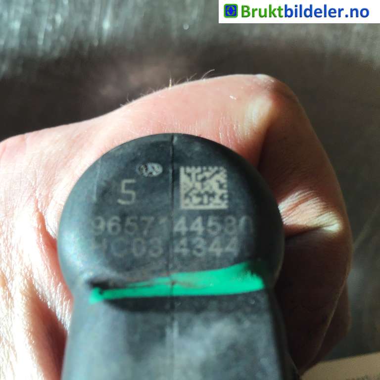 bilde