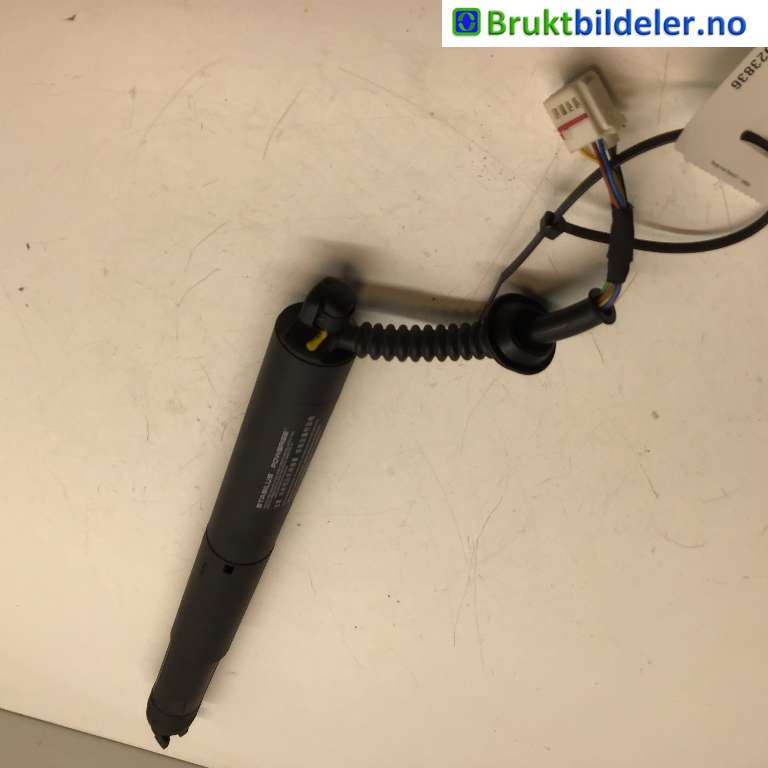 bilde