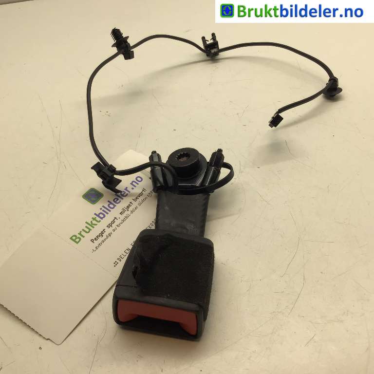 bilde
