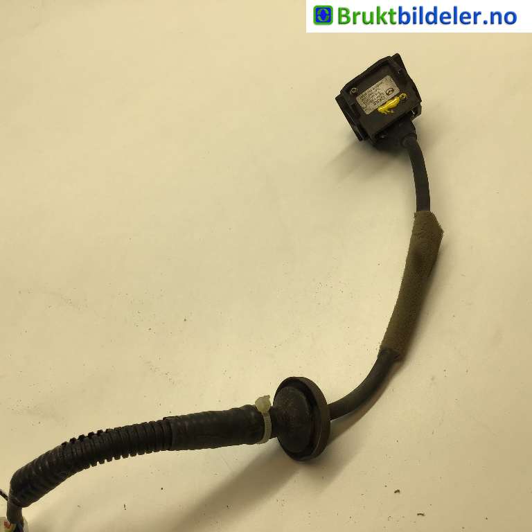 bilde