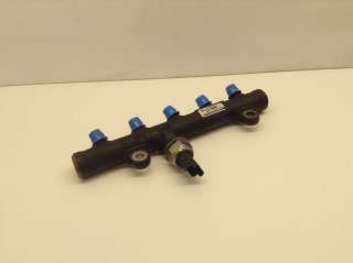 Dyseskinne (fuelrail) til Citroën C4, Picasso, 2006-2013 (Type I)  (CITROEN|9681649580)