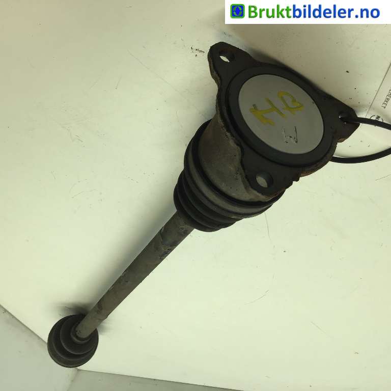 bilde