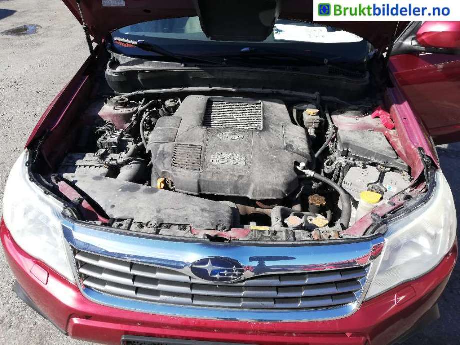 Motor diesel til Subaru Forester, 2008-2013 (Type III)  (SUBARU|)