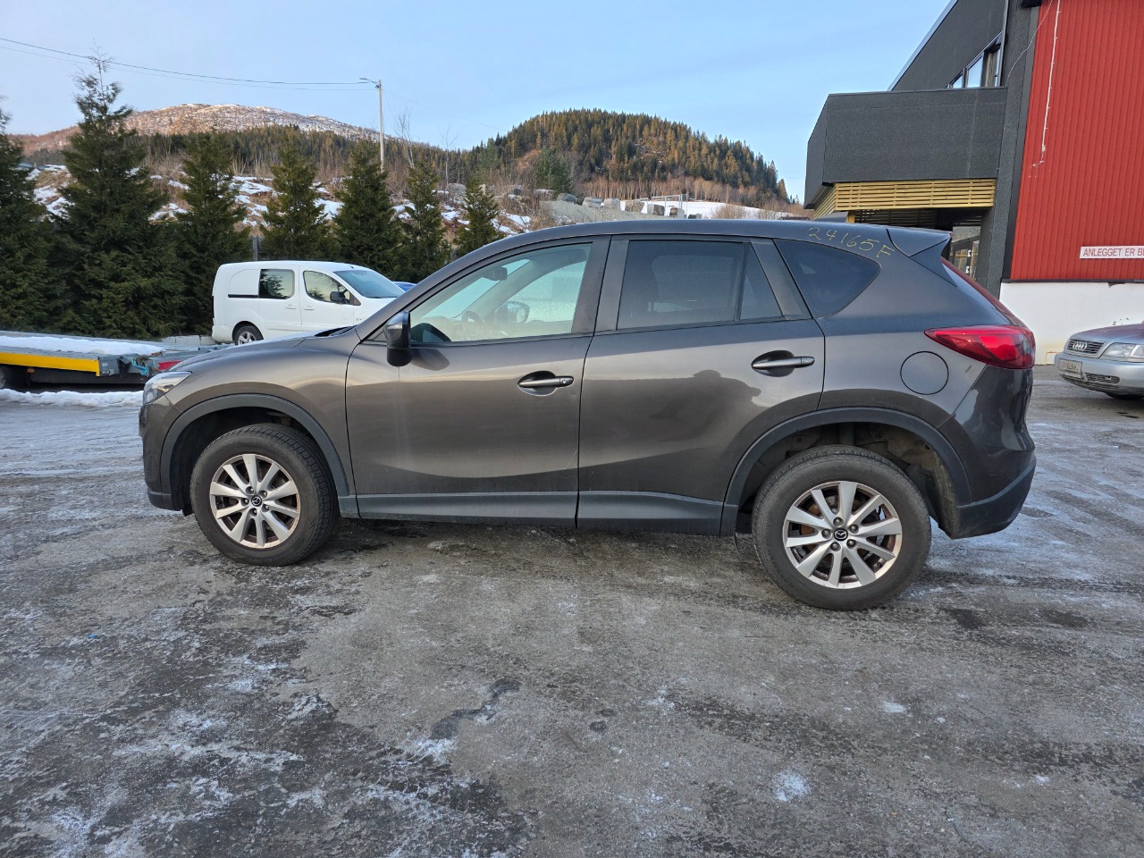 bilde