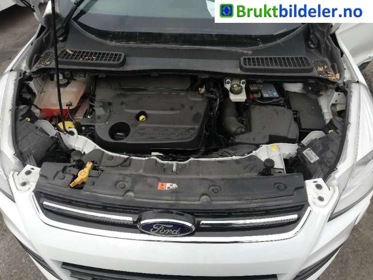 Motor diesel til Ford Kuga, 2013-2019  (FORD|)