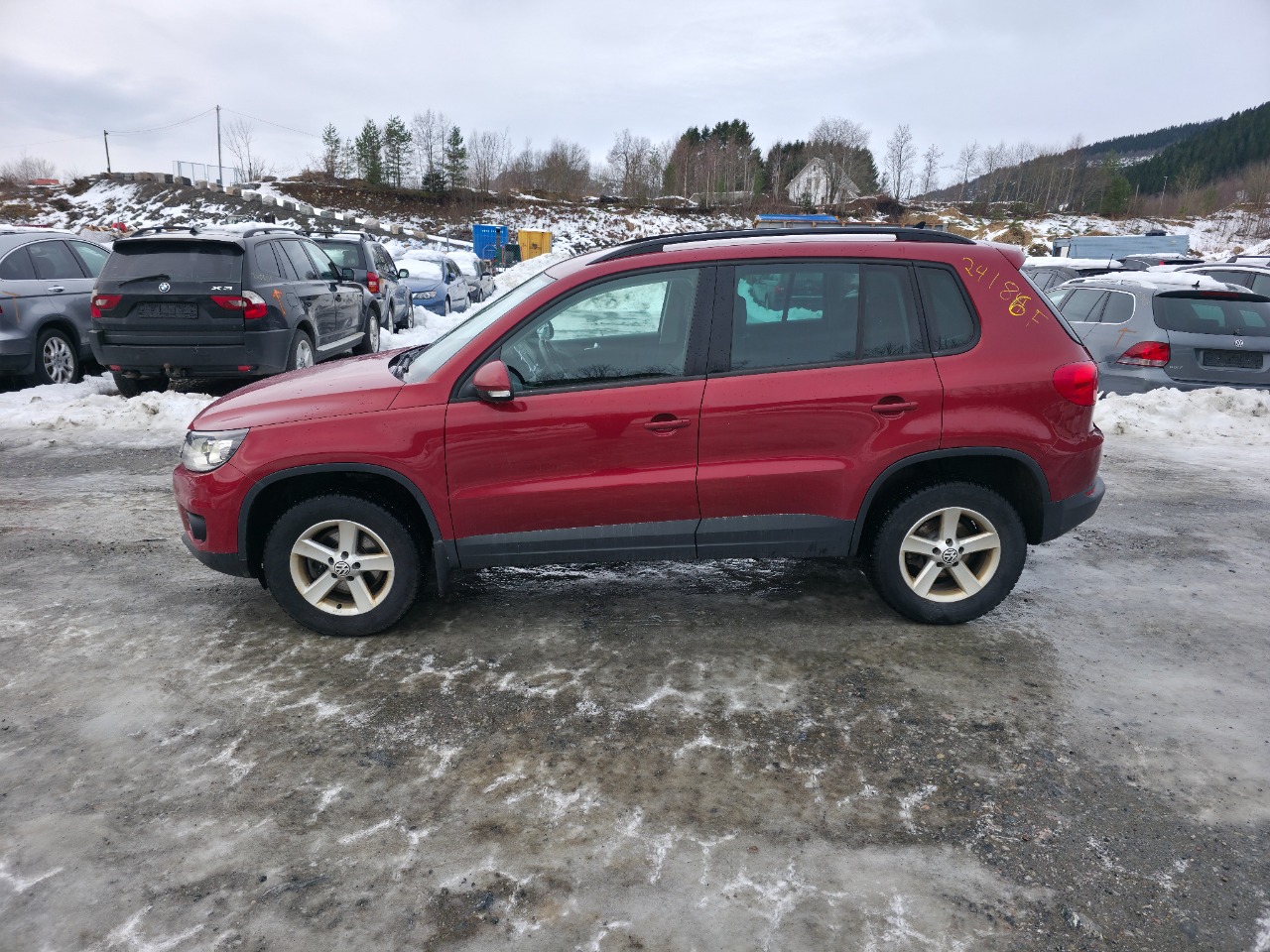 bilde