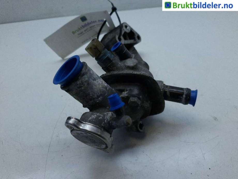 Termostathus til Hyundai Terracan 2002-2007  (HYUNDAI|255504X110|)