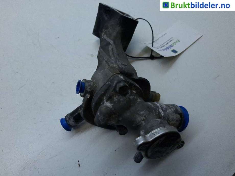 Termostathus til Hyundai Terracan 2002-2007  (HYUNDAI|255504X110|)