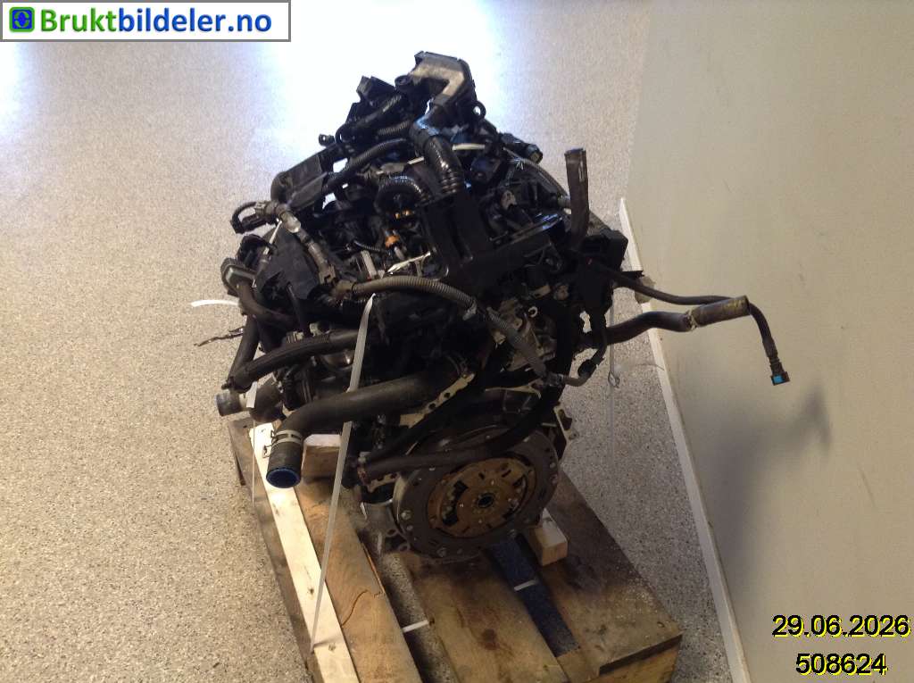 bilde