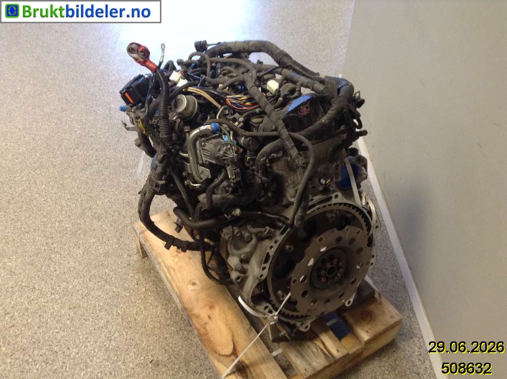 bilde