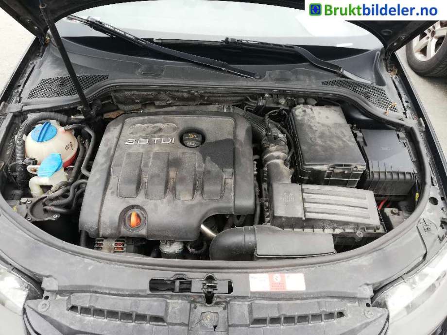 Motor diesel til Audi A3, 2003-2008 (Type II, Fase 1)  (AUDI|)