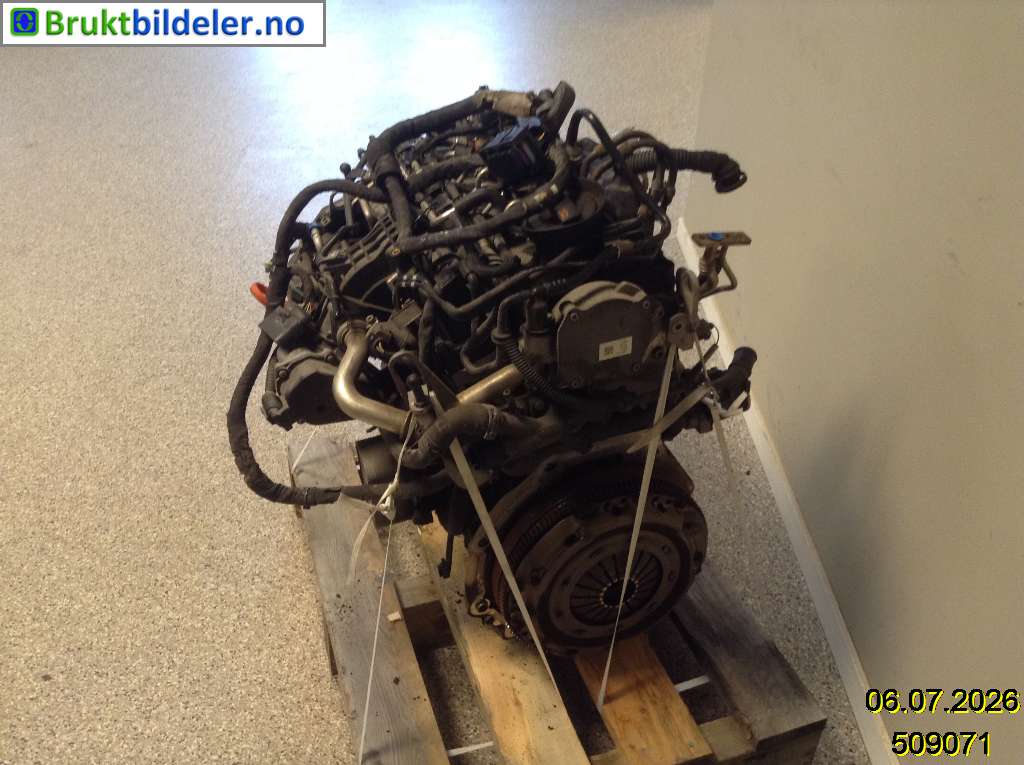 bilde