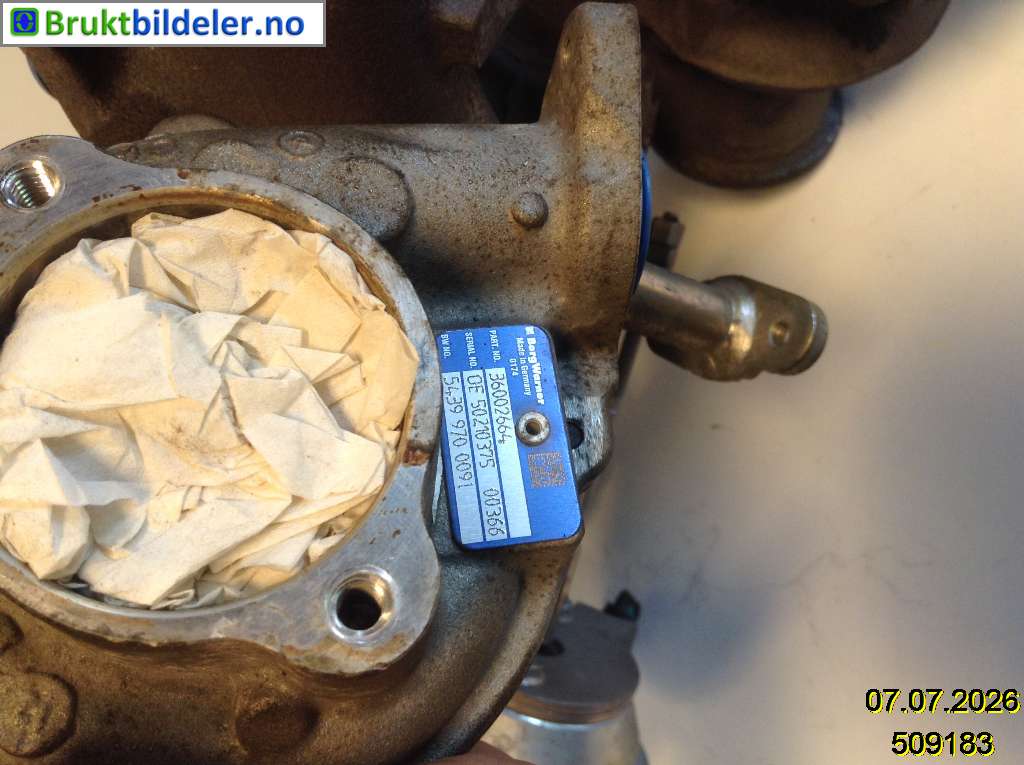 bilde