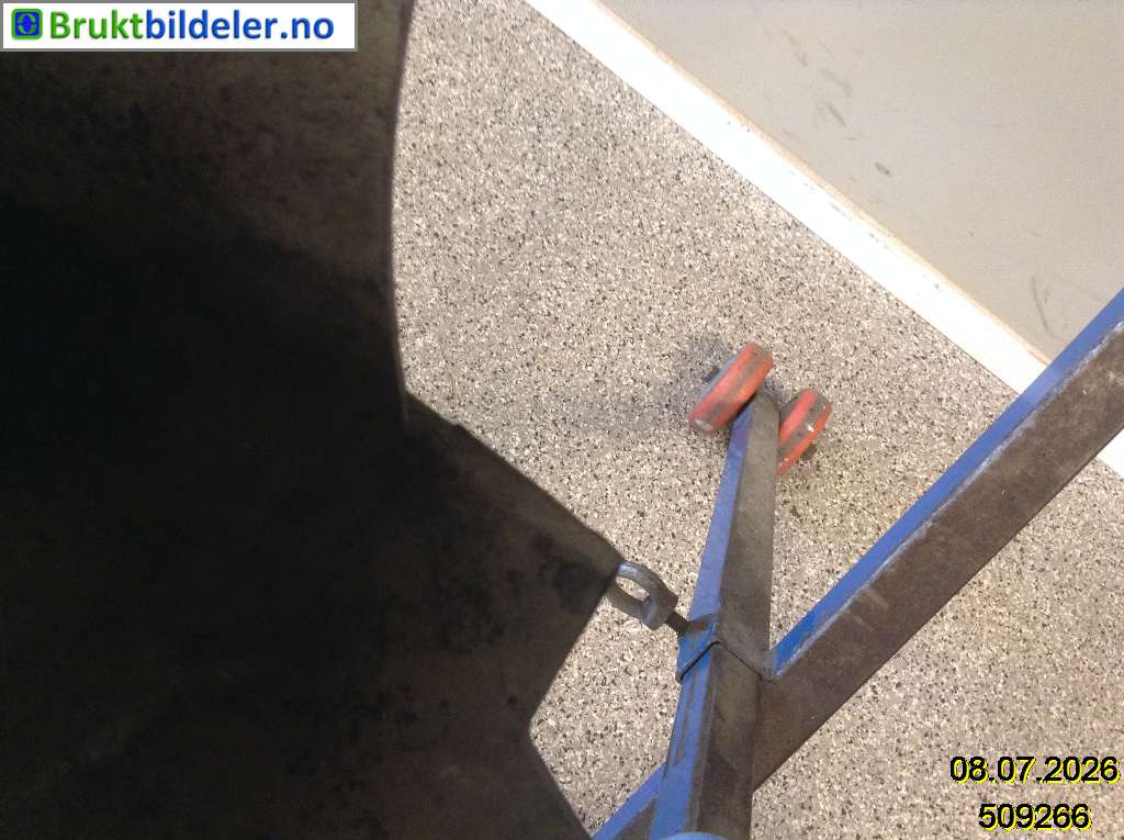bilde