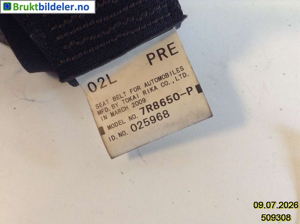 bilde