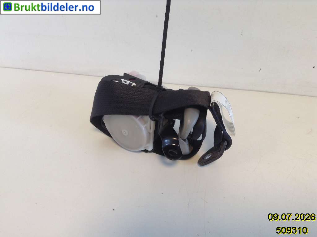 bilde
