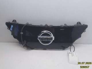 Grill til Nissan Leaf,   (NISSAN|62072-5SK0D)