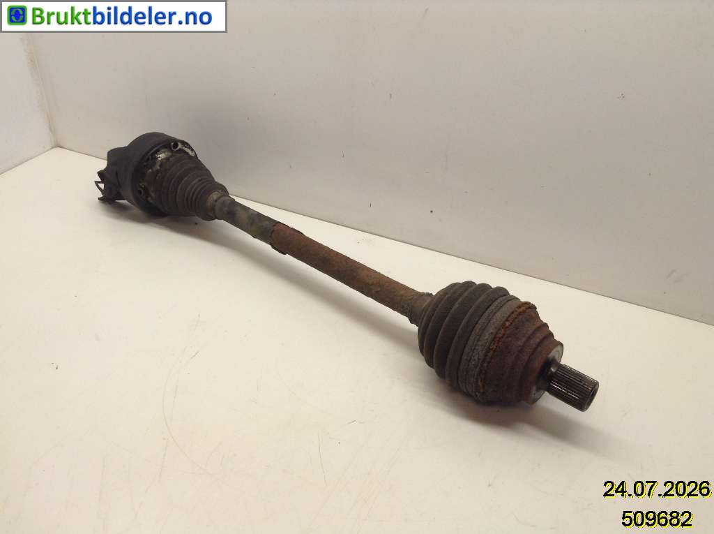 bilde
