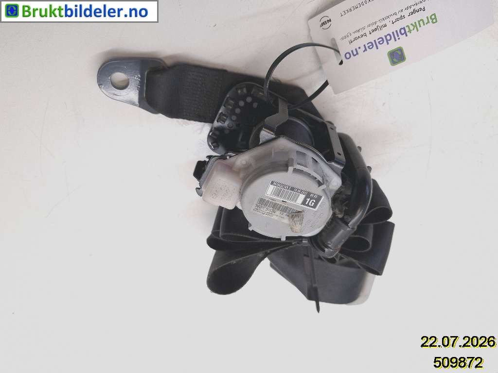 bilde