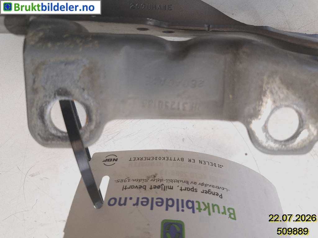 bilde
