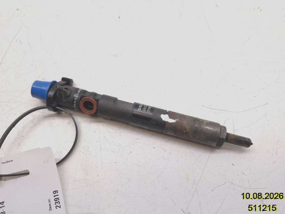 Dyse innsprøyting diesel til Renault Kangoo, 2008-2021 (Type II)  (RENAULT|166000897R)