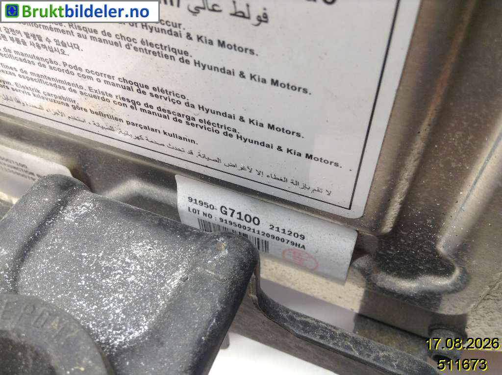 bilde