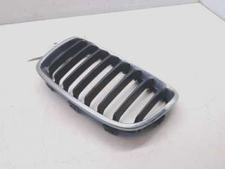 Grill til BMW 1-Serie, 2011-2015 (Fase 1) (F20/F21) (F20/F21) (|51 13 7 262 118)