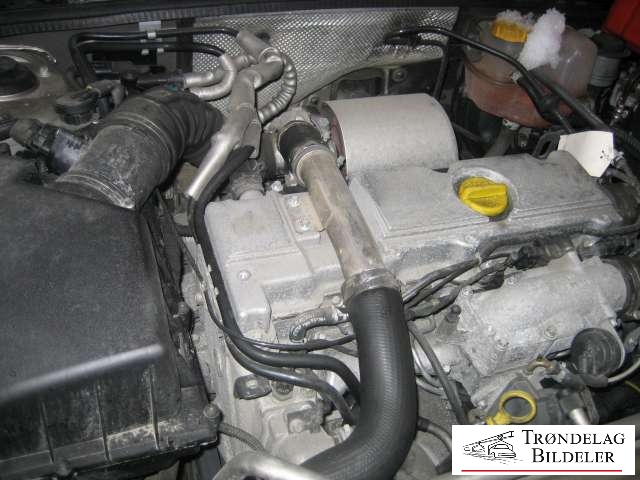 Opel Signum 2003-2006 , Motorkode: , Girkassekode: 
