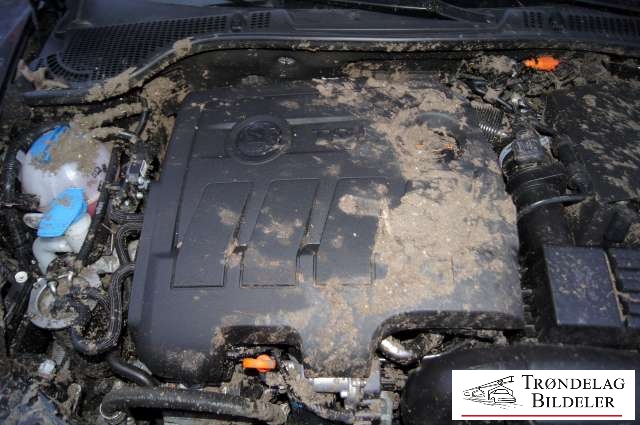 Škoda Octavia 2009-2013 (Type II, Fase 2) , Motorkode: , Girkassekode: 