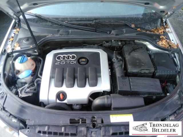 Audi A3 2003-2008 (Type II, Fase 1) , Motorkode: BKD, Girkassekode: HLE