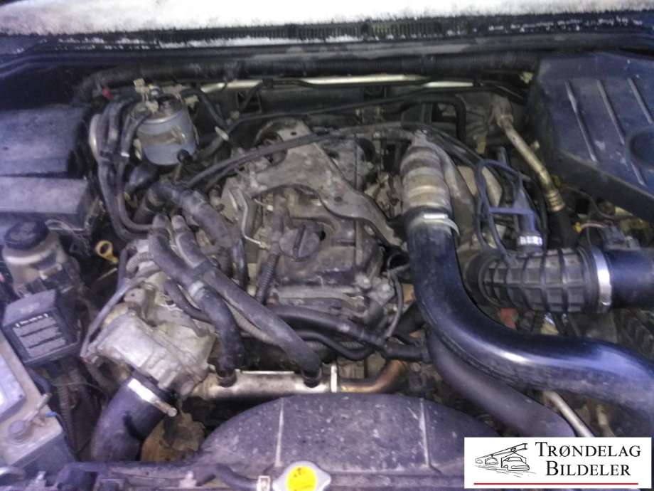 Nissan Pathfinder 2005-2010 (Fase 1) (R51) (R51), Motorkode: YD25, Girkassekode: