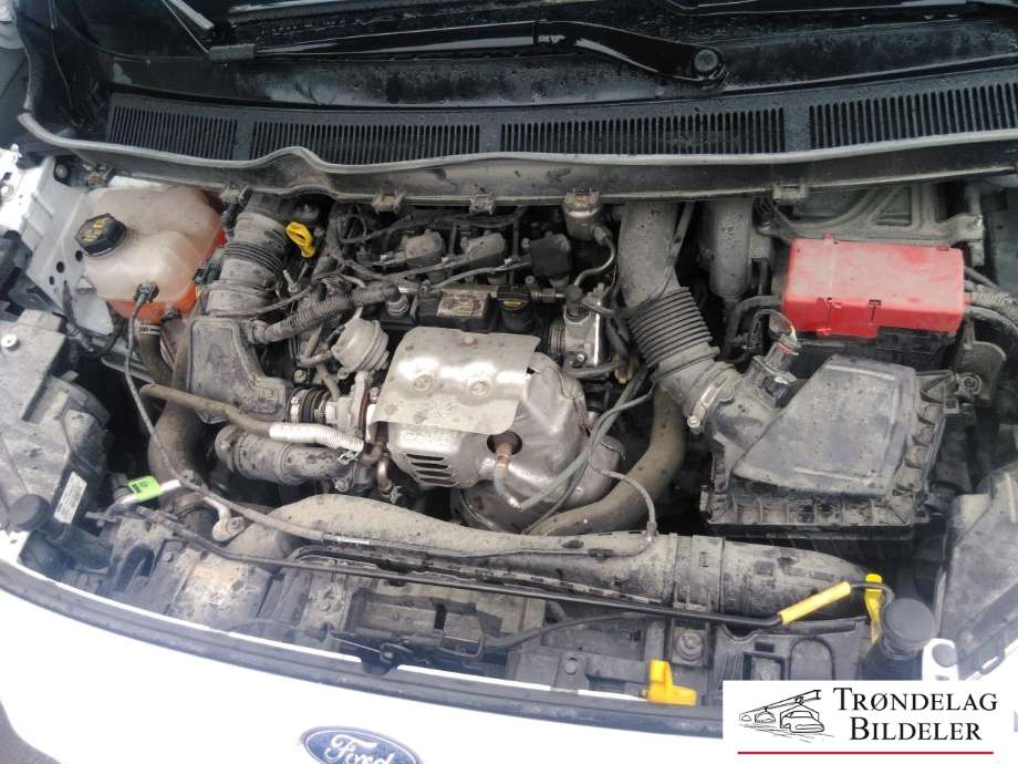 Ford Transit Courier 2014-2018 (Type I, Fase 1) , Motorkode: SFCE, Girkassekode: 