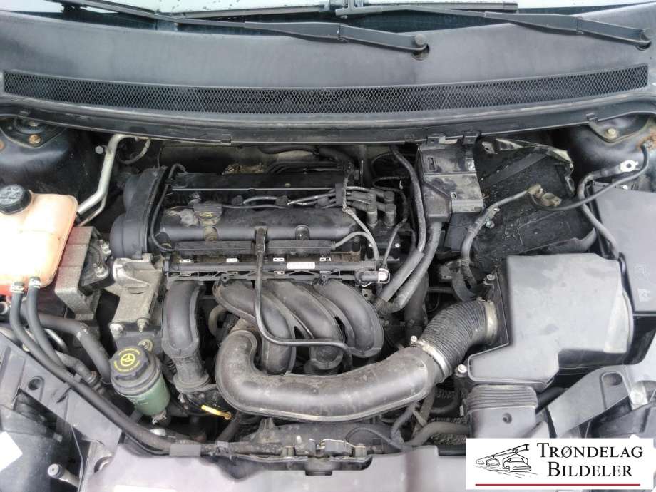 Ford Focus 2004-2007 (Type II, Fase 1) , Motorkode: SHDA, Girkassekode: