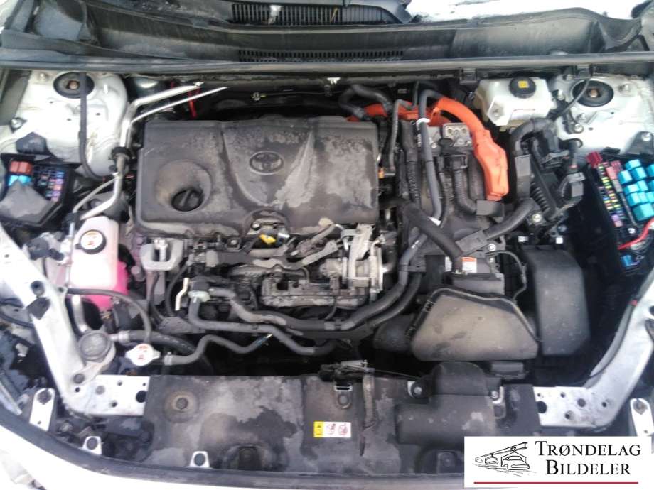 Toyota RAV4 2019-->> (Type V) , Motorkode: A25A-FXS|3NM|4NM, Girkassekode: 