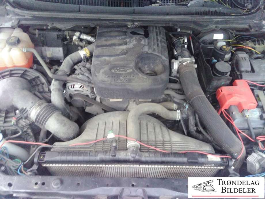 Ford Ranger / Ranger Raptor 2015-2022 , Motorkode: QJ2W, Girkassekode: