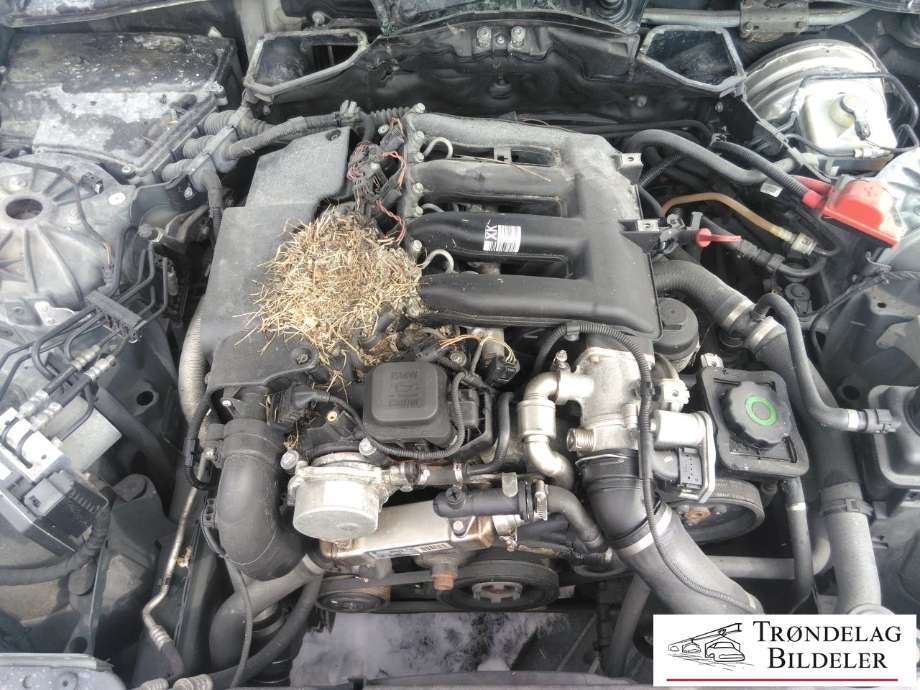 BMW 5-Serie 2003-2010 (E60/E61) (E60/E61), Motorkode: M47-TU2D20 / 204D4, Girkassekode: