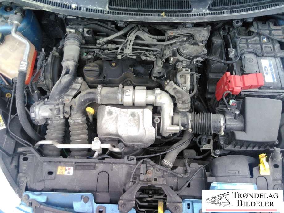 Ford Fiesta 2008-2012 (Type VI, Fase 1) , Motorkode: TZJA, Girkassekode:
