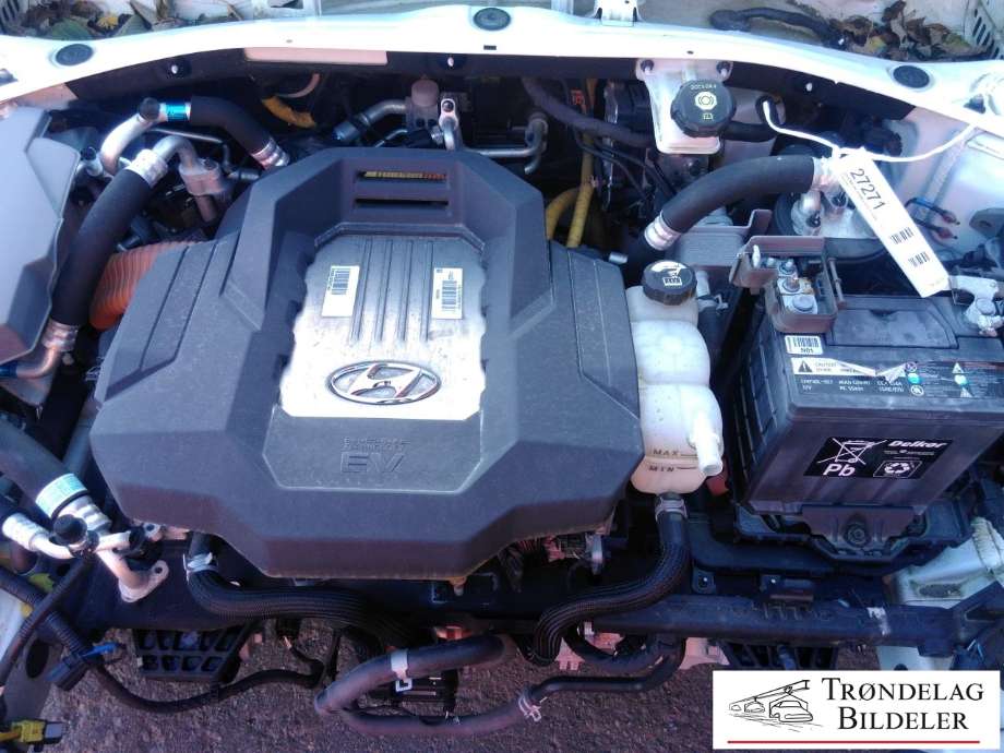 Hyundai Ioniq Electric 2016-2019 (Fase 1) , Motorkode: EM09, Girkassekode: 