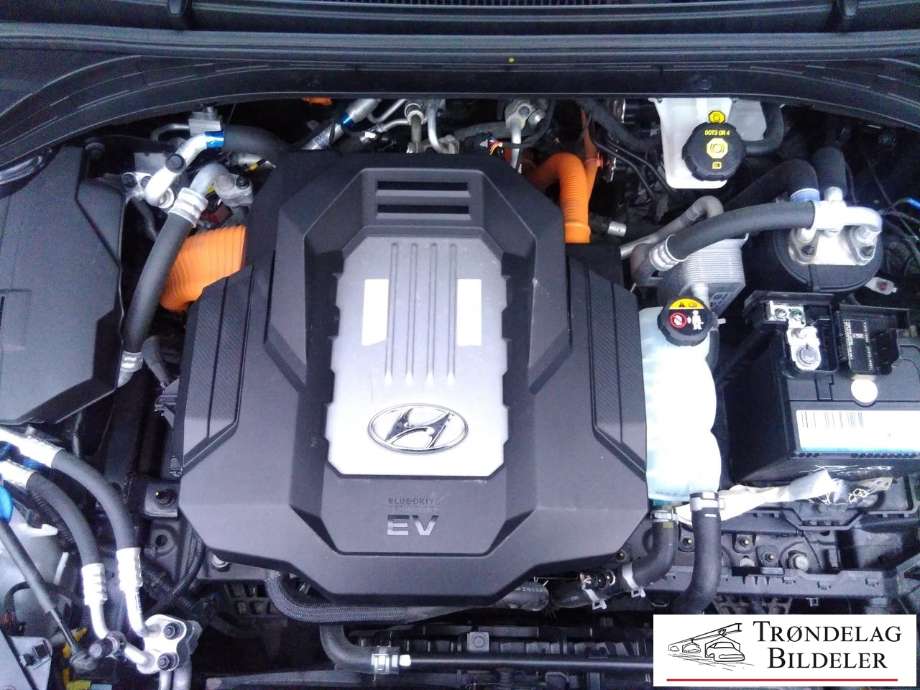 Hyundai Ioniq Electric 2019-->> (Fase 2) , Motorkode: EM10, Girkassekode: 