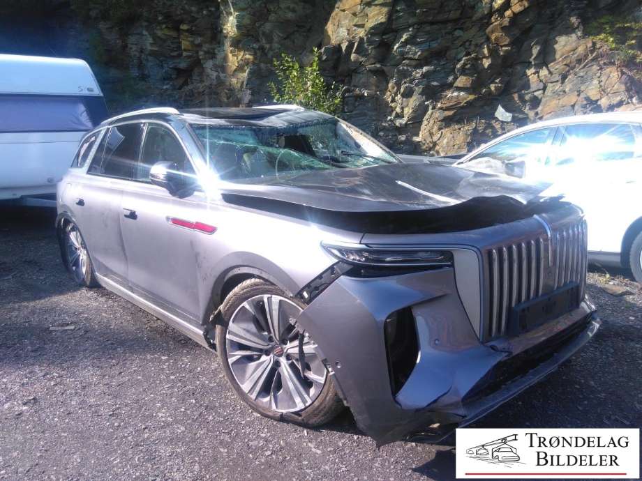 Hongqi E-HS9 2022-->> , Motorkode: CAM220PT2 / CAM250PT1, Girkassekode: 