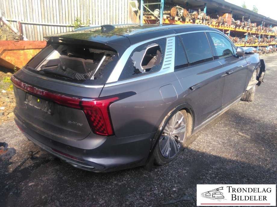 Hongqi E-HS9 2022-->> , Motorkode: CAM220PT2 / CAM250PT1, Girkassekode: 