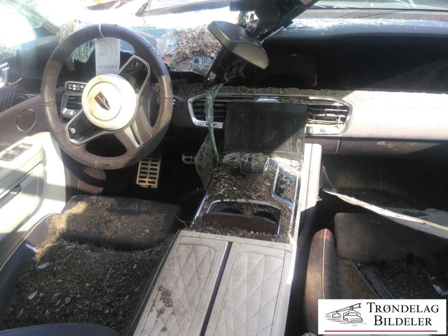 Hongqi E-HS9 2022-->> , Motorkode: CAM220PT2 / CAM250PT1, Girkassekode: 