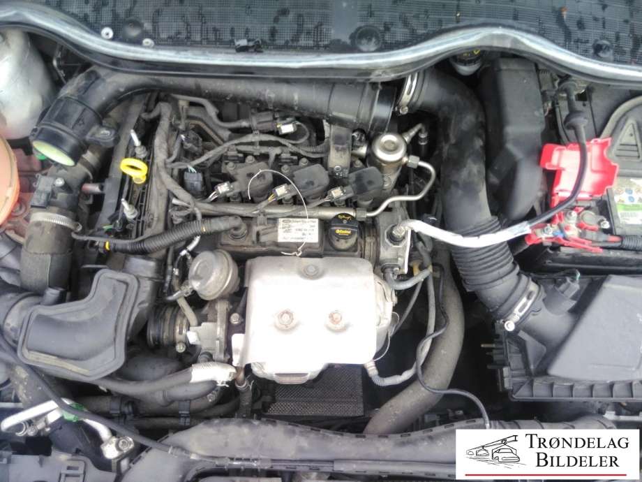 Ford Fiesta 2017-->> (Type VII) , Motorkode: SFJK, Girkassekode: 